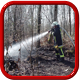 Brandeinsatz - Wald-, Flächenbrand